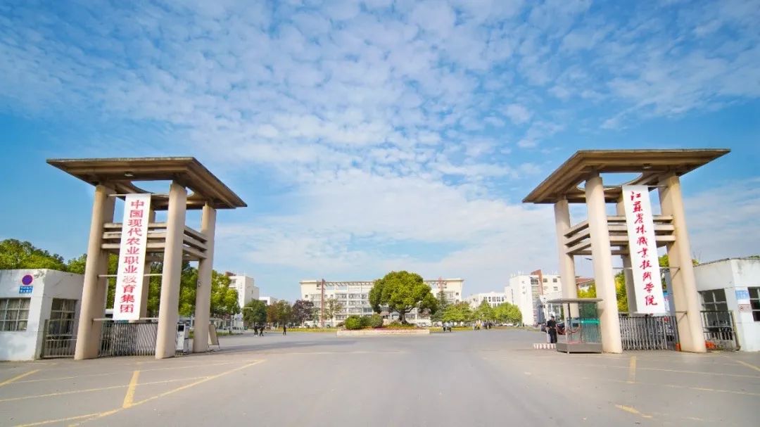 未畢業就定崗，一畢業就任教大學……這所職校的學生緣何這么牛？