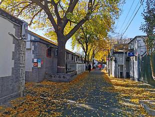 喜報！2020年十大“北京最美街巷”揭曉，又見咱建國門街道倩影
