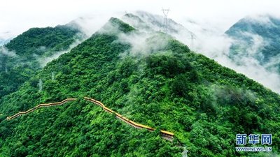 顆粒歸倉！各地開展“雙搶”打贏秋收“攻堅戰”