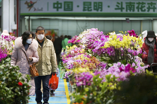 新春走基層｜“花潮”涌動春意濃