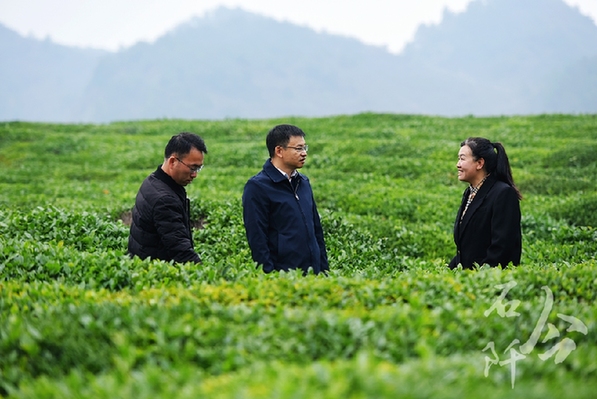 躬身為橋 緊盯供需連接山海 ——記廣東省粵黔協作工作隊銅仁工作組石阡小組組長，石阡縣委常委、副縣長李浩泉